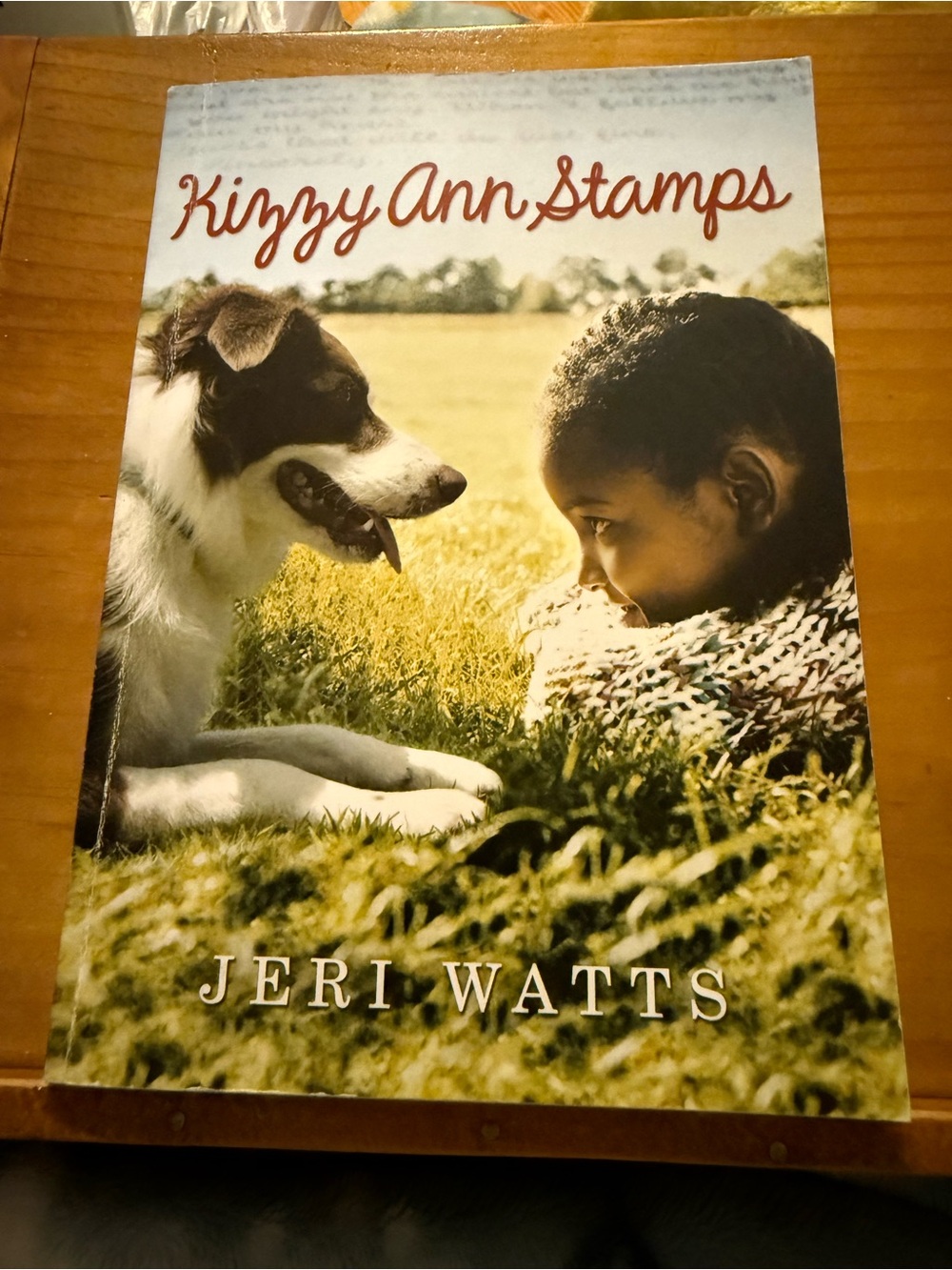 Kizzy Ann Stamps by Jeri Watts Children’s Chapter Book